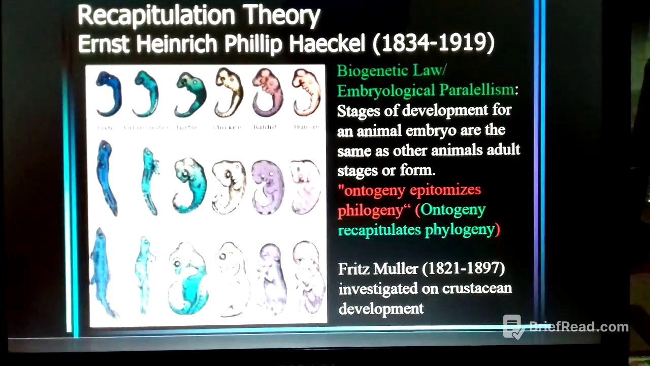 Principles of Animal Development part 1
