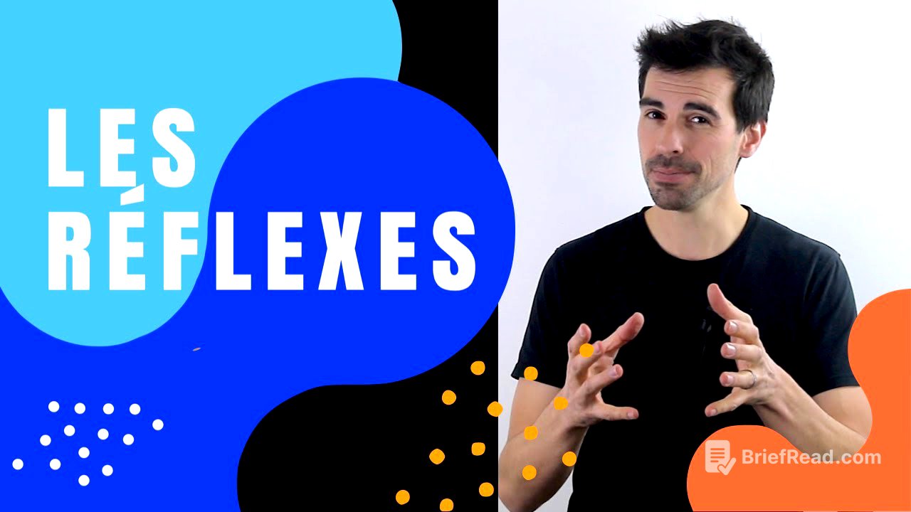 COURS DE TERMINALE SPÉCIALITÉ SVT CHAP.14: LES RÉFLEXES - Bio Logique-