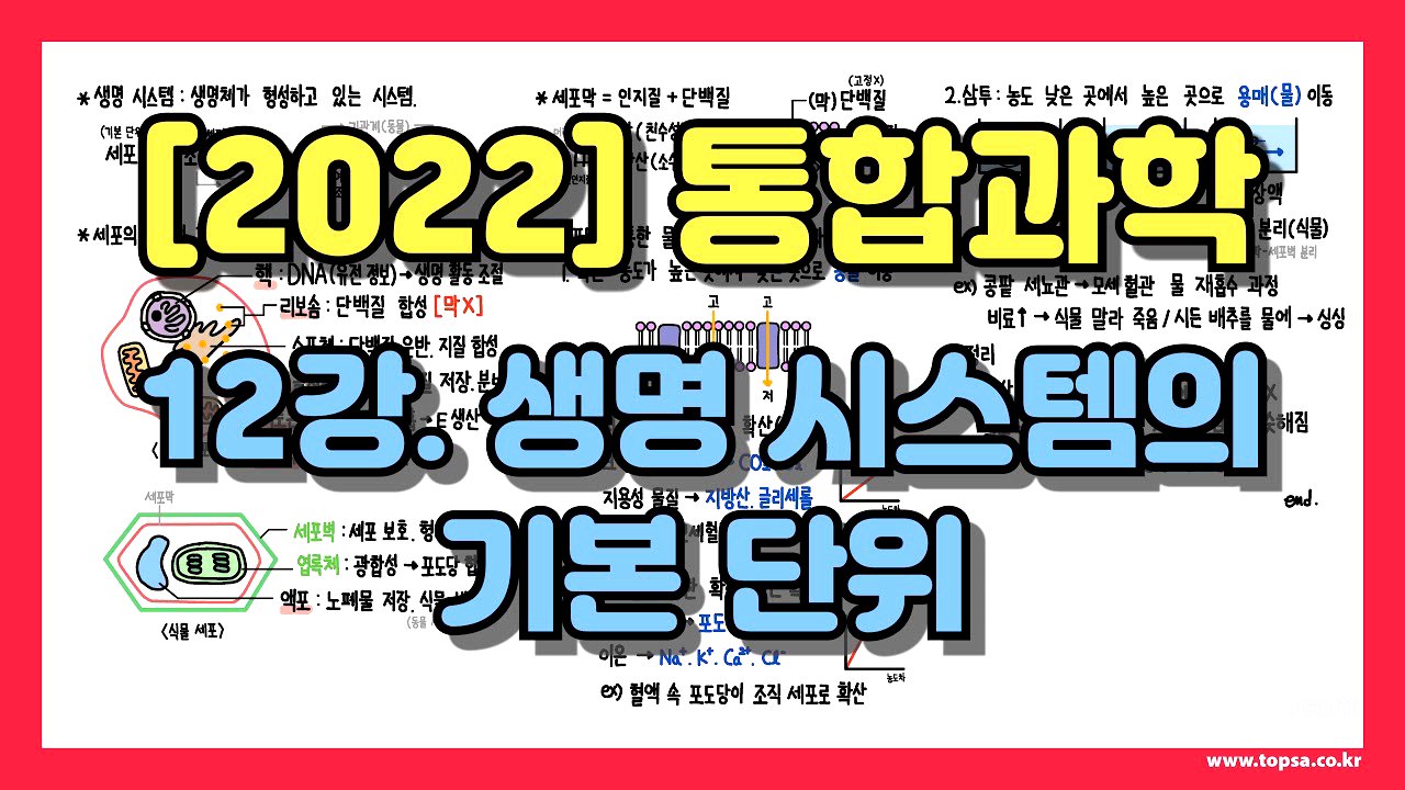 [고1 통합과학] 12강. 세포 구조, 확산, 삼투