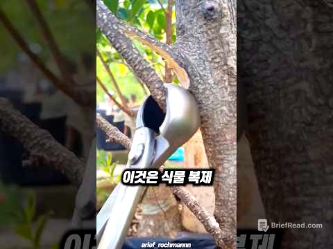 14일 만에 나무를 복제하는 기술