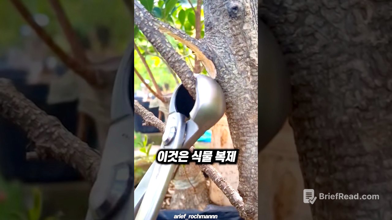 14일 만에 나무를 복제하는 기술