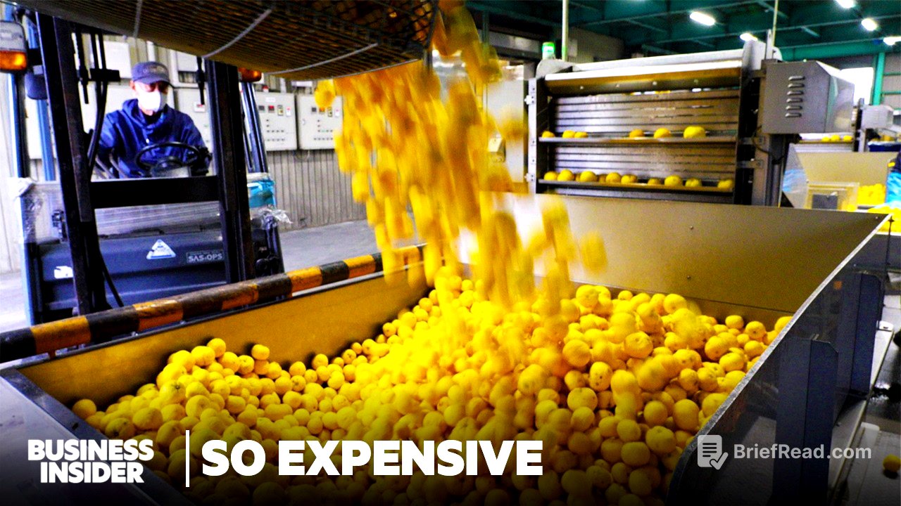 Why Fresh Yuzu Is So Expensive In The US | So Expensive | Business Insider