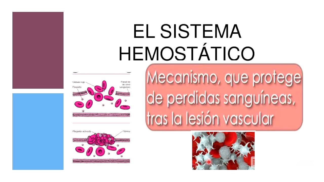 Hemostasis y coagulación