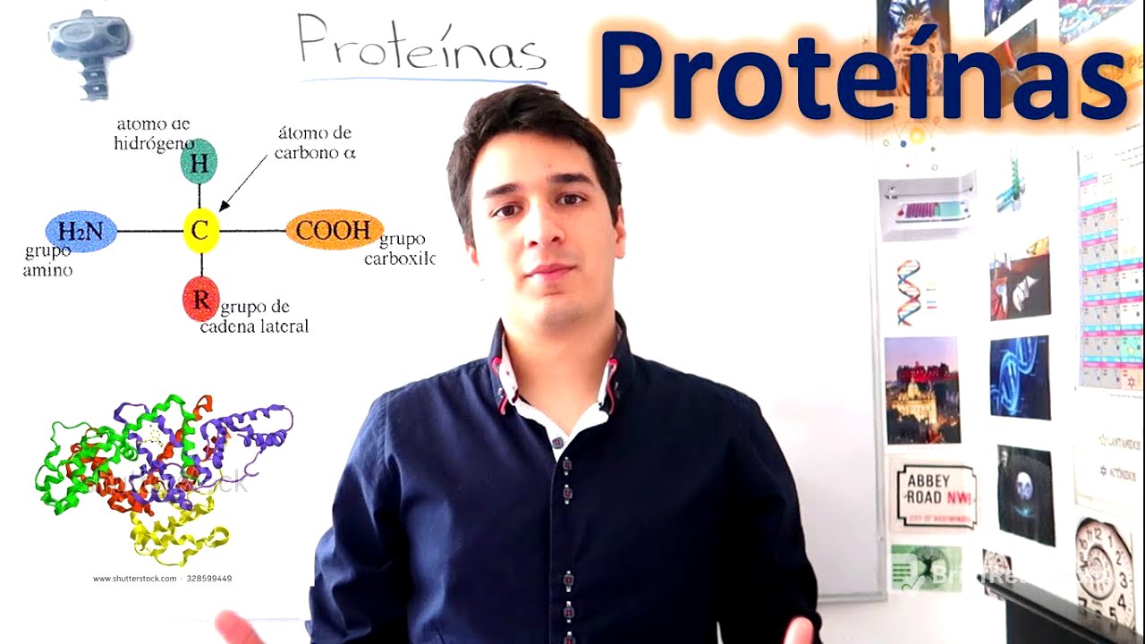 Proteínas y Aminoácidos. UN MES DE CLASES EN 10 MINUTOS