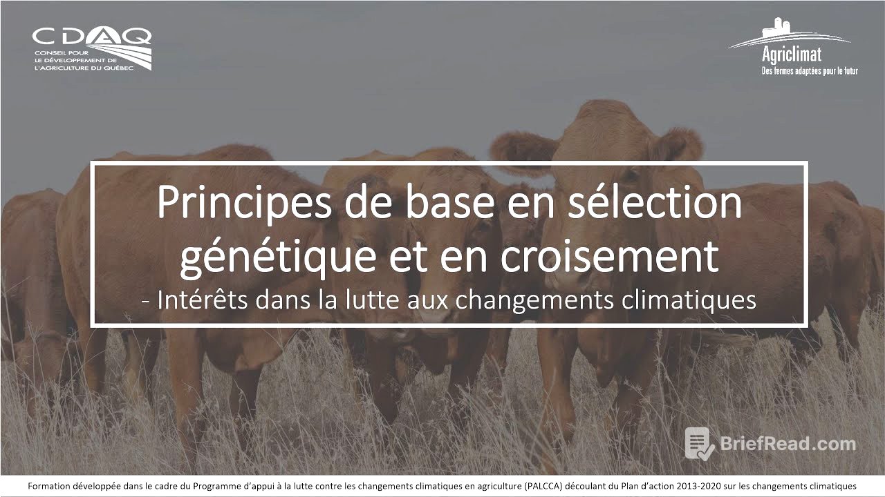 Principes de base en sélection génétique et en croisement en production bovine