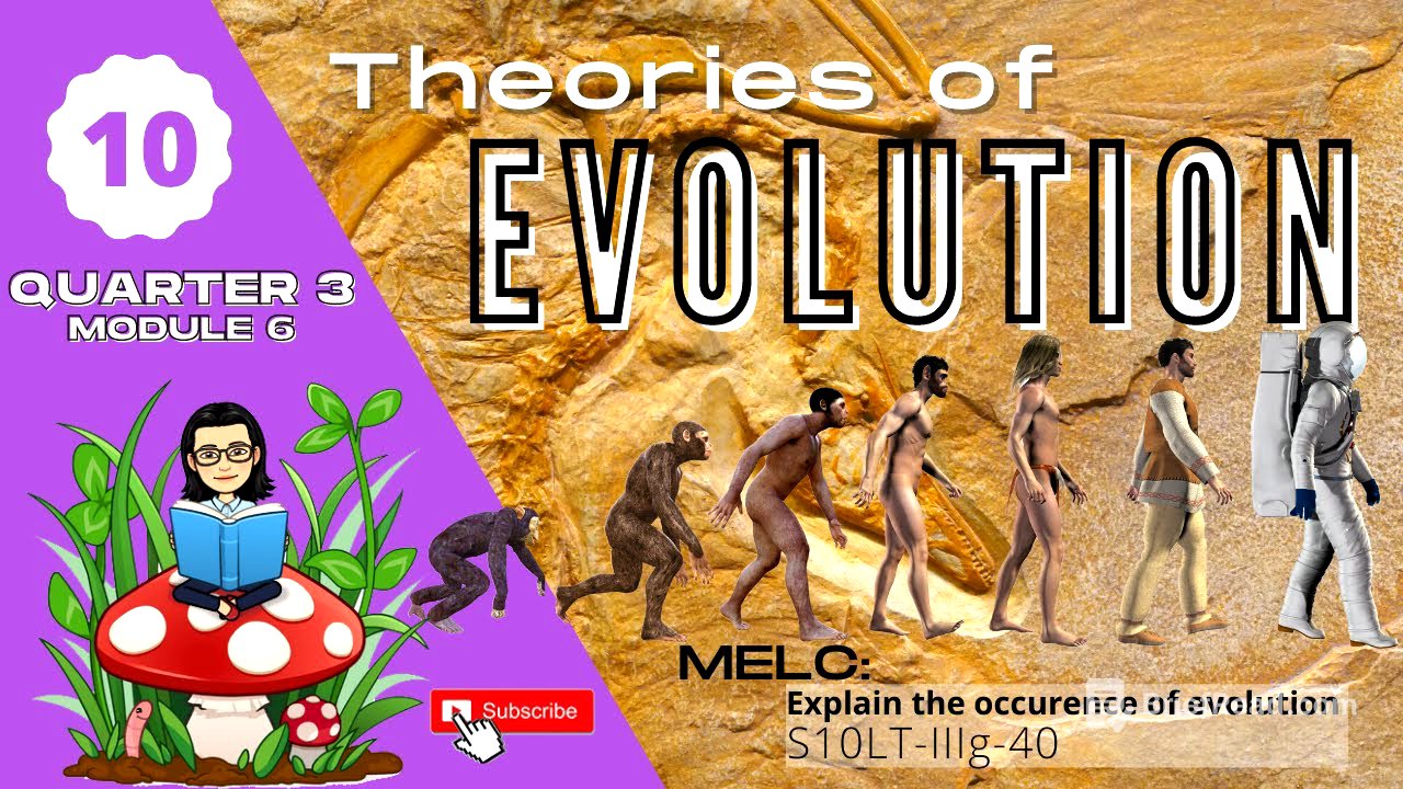Grade 10 SCIENCE | Quarter 3 Module 6 | Theories of Evolution