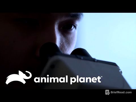 Una mujer está llena de parásitos y lombrices | Parásitos Asesinos | Animal Planet Latinoamérica