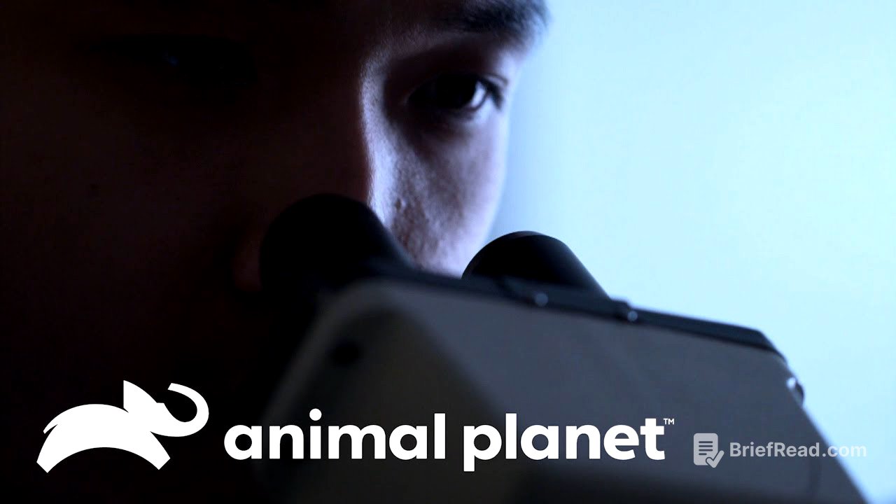 Una mujer está llena de parásitos y lombrices | Parásitos Asesinos | Animal Planet Latinoamérica