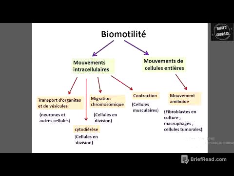 La biomotilité
