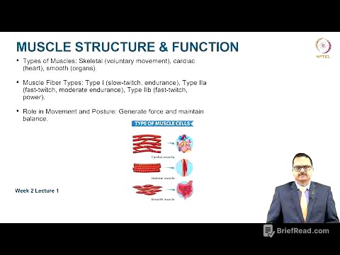 Overview of the Musculoskeletal System