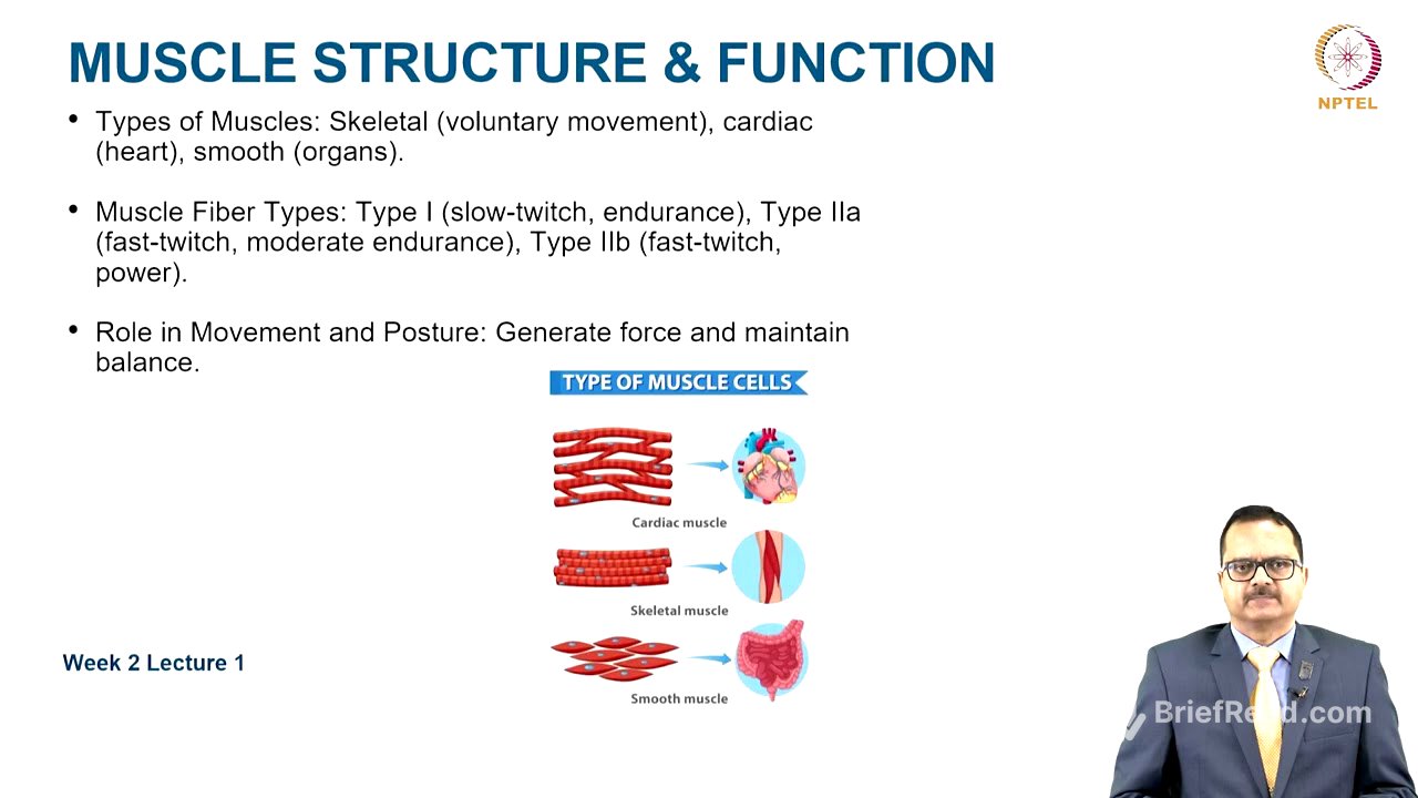 Overview of the Musculoskeletal System