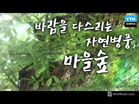 바람을 다스리는 자연병풍, 마을숲 / YTN 사이언스