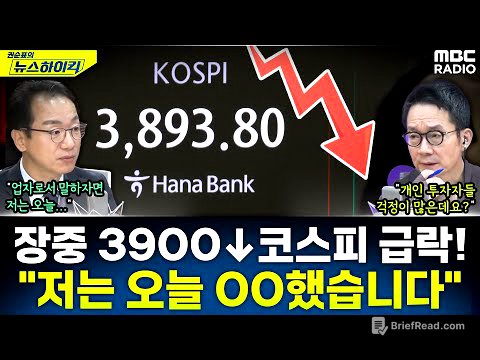 [뉴스하이킥] 코스피 장중 '3900 붕괴' 급락...증시 각도기가 바라본 원인 전망은? - 곽상준, MBC 251105 방송