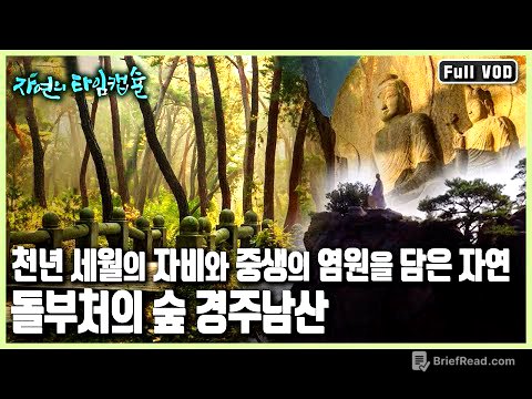 웅장한 역사의 신비와 그곳에 터를 잡은 작은 생명들의 치열한 생존기 '돌부처의 숲, 경주남산’ (KBS 20170309 방송)