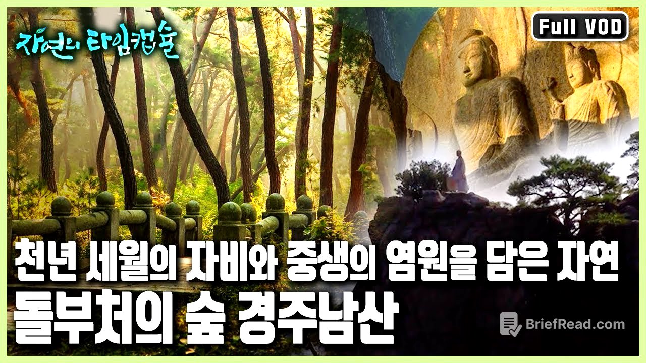 웅장한 역사의 신비와 그곳에 터를 잡은 작은 생명들의 치열한 생존기 '돌부처의 숲, 경주남산’ (KBS 20170309 방송)