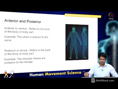 Anatomical planes and axes of motion