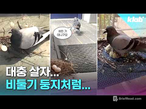 비둘기는 둥지를 왜 이렇게 지을까?｜크랩