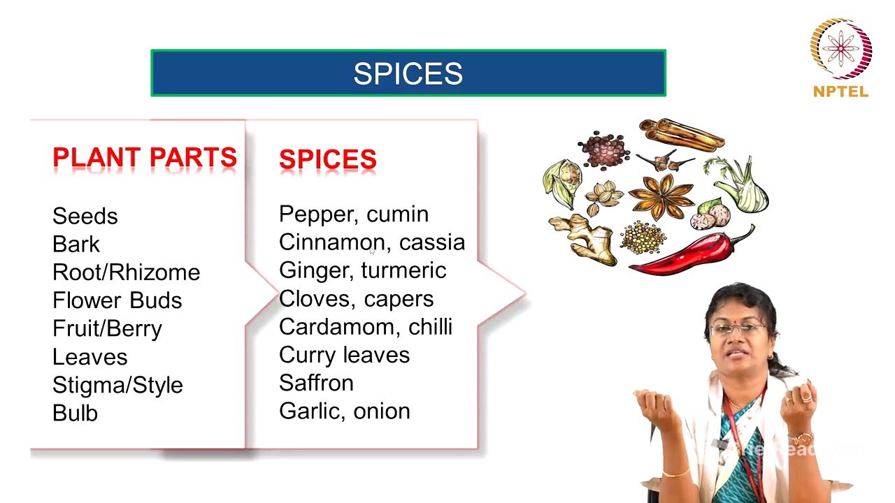 Condiments and Spices