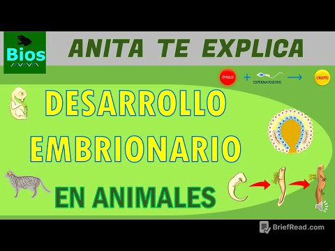 Desarrollo embrionario en animales