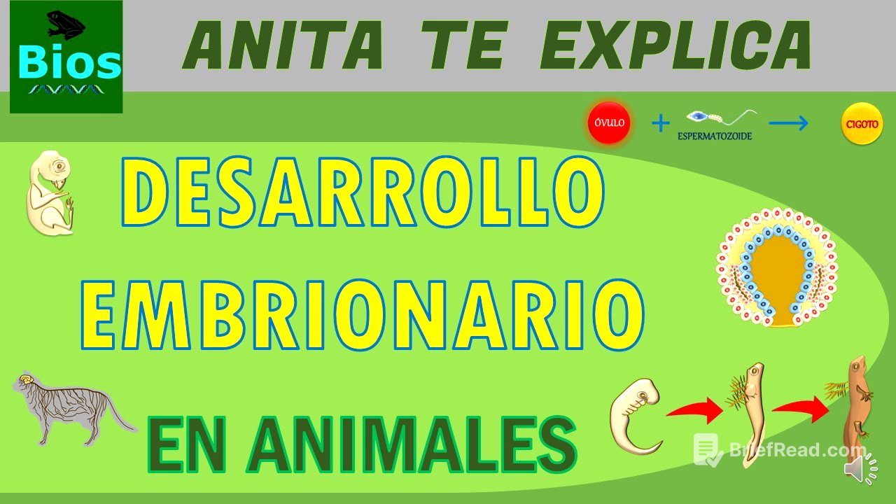Desarrollo embrionario en animales