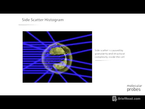 Molecular Probes Tutorial Series—Introduction to Flow Cytometry
