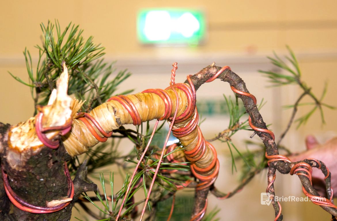 How Long Do You Leave Wire on a Bonsai Tree? - The Plant Bible