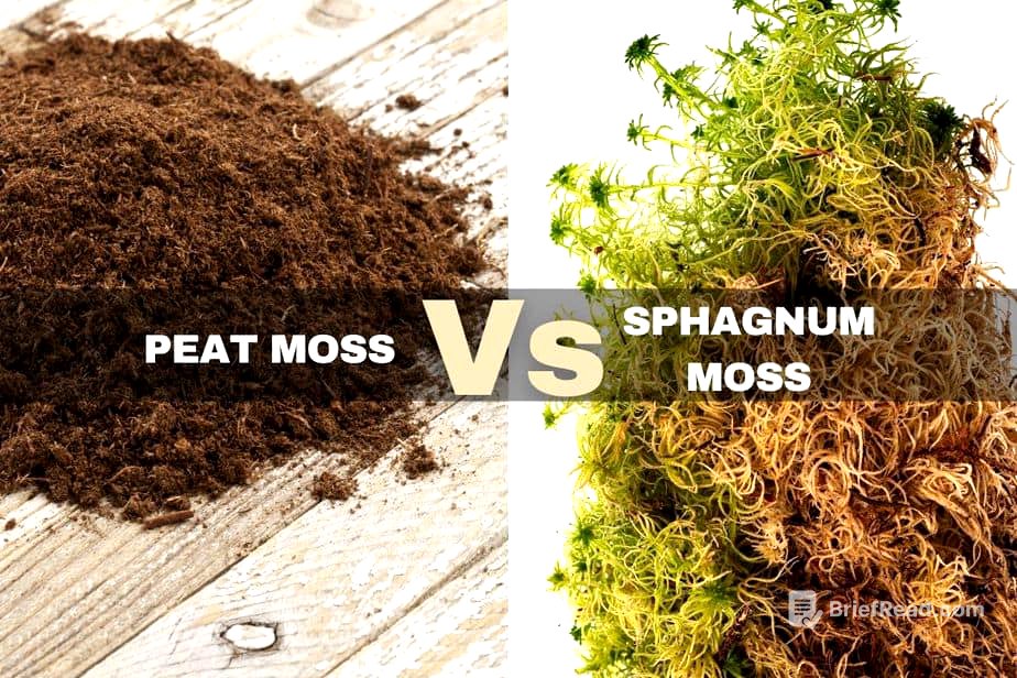 Peat Moss Vs. Sphagnum Moss: Differences And Similarities - Indoor Plants For Beginners