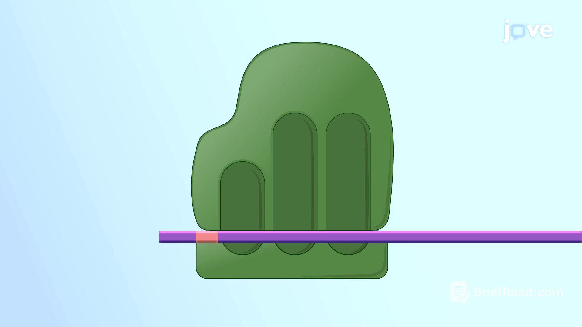 Video: Ribosomes