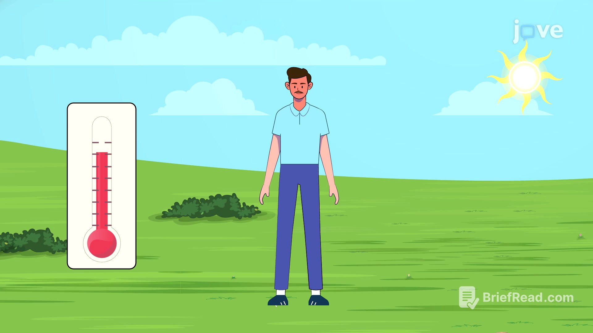 Video: What is Homeostasis?