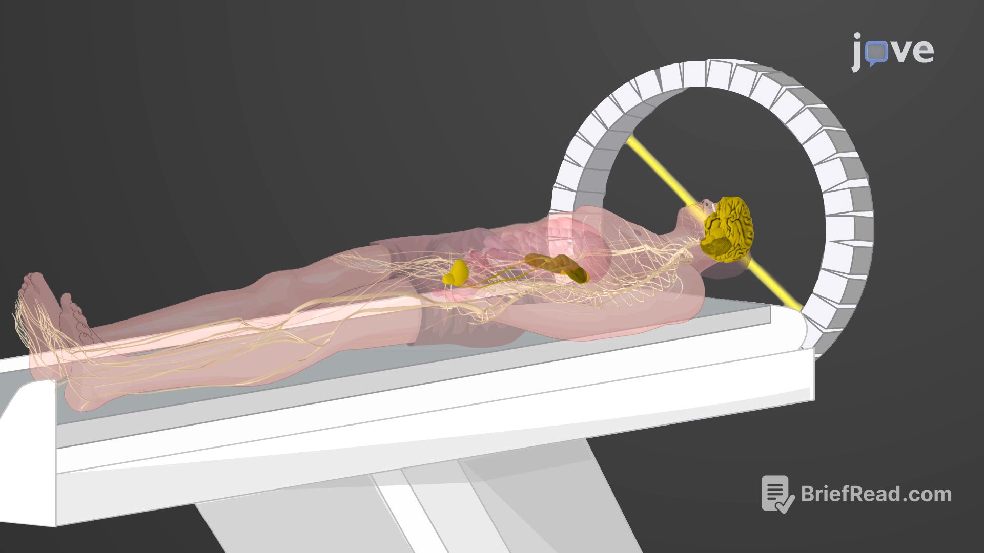 Video: Positron Emission Tomography