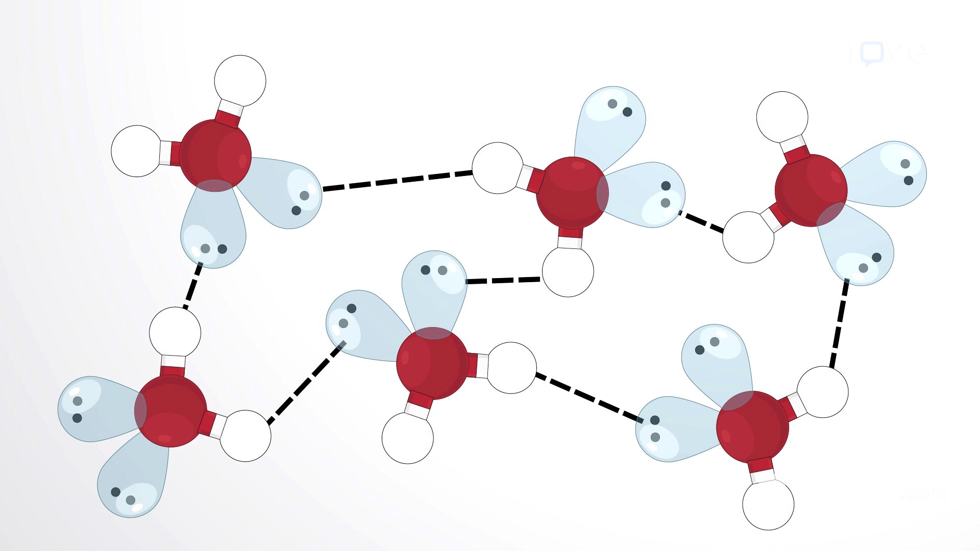 Video: Hydrogen Bonds