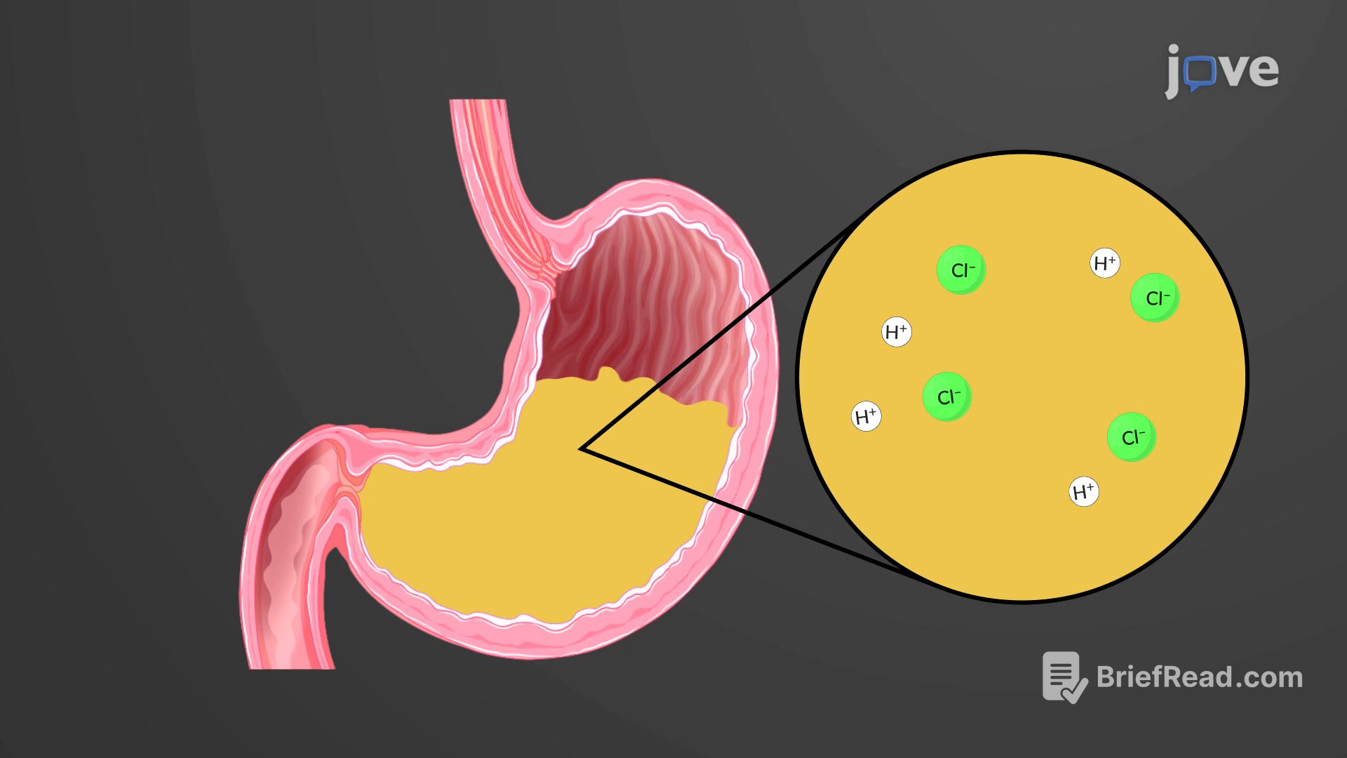 Video: Acids, Bases and Neutralization Reactions
