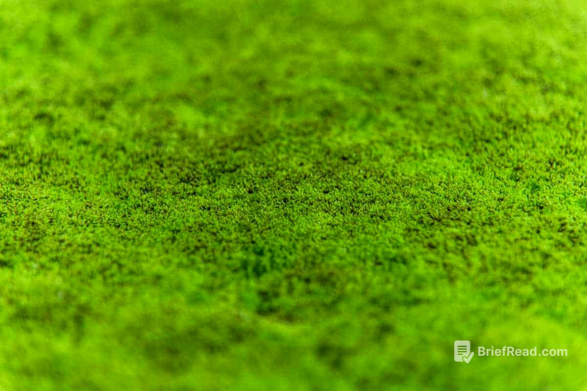 How To Create A Moss Lawn In 5 Easy Steps