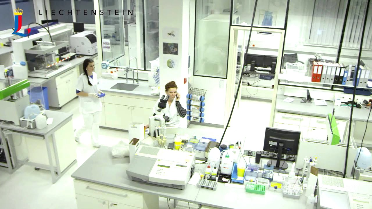 Das Fürstentum Liechtenstein - deutsch - YouTube
