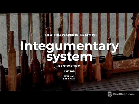 Integumentary System l Part 2