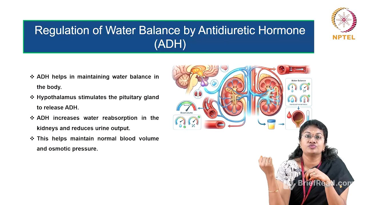 Water and Electrolytes