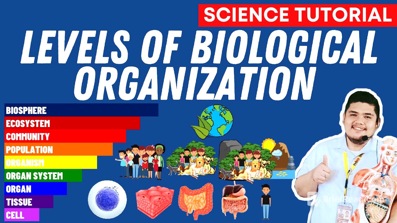 LEVELS OF BIOLOGICAL ORGANIZATION SCIENCE 7 QUARTER 2 MODULE 2 WEEK 3
