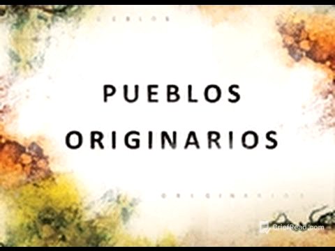 Pueblos originarios. Programa cero.
