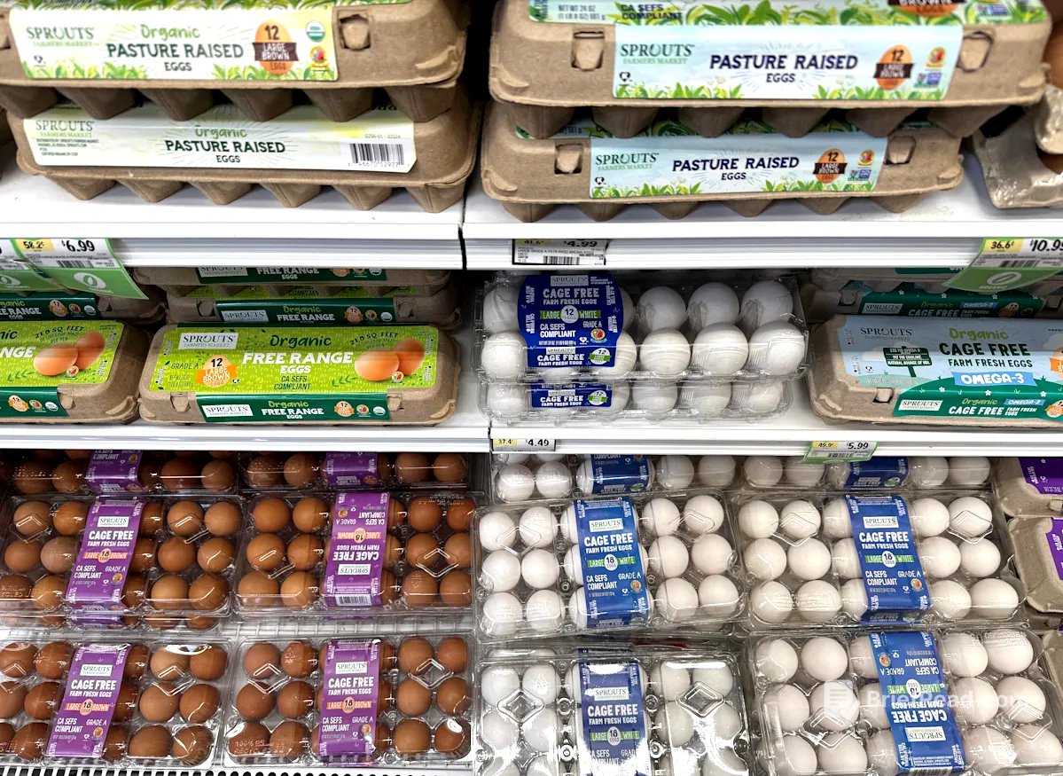 Egg prices tank in April as food inflation declined the most in 5 years
