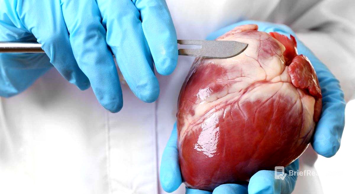 Investigadores de España descubren que estos fármacos para tratar la diabetes tipo 2 mejoran la función eléctrica del corazón